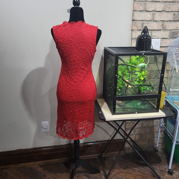 NWOT Lace overlay scalloped hem stretch dress - Picture 5 of 8